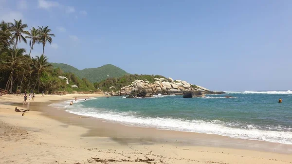 Una Playa Soleada Verano Con Palmeras Bajos Idus Bajo Cielo —  Fotos de Stock