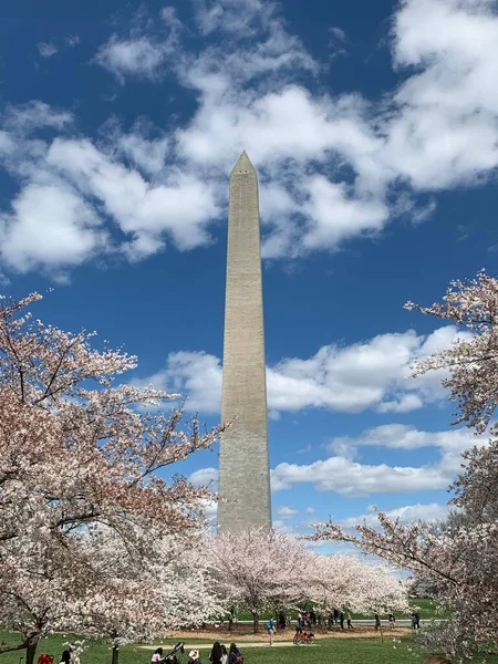 位于华盛顿特区的华盛顿纪念碑的垂直截图 — 图库照片