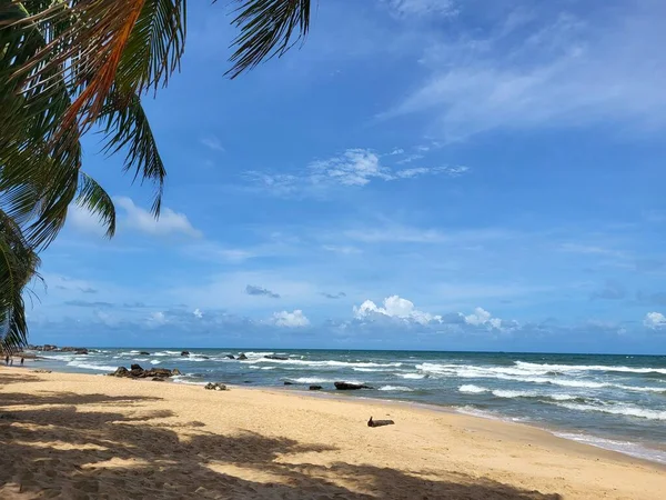 越南的热带海滩 有棕榈树 — 图库照片