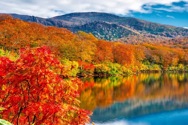 秋にはカラフルな木々に囲まれた湖の美しい景色 — ストック写真