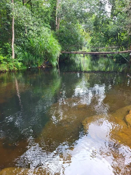 Selva Com Ponte Suspensa Lago Vietnam — Fotografia de Stock