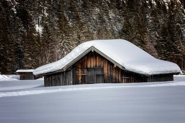 森林里一个被雪覆盖的孤立的旧木制谷仓的特写镜头 — 图库照片