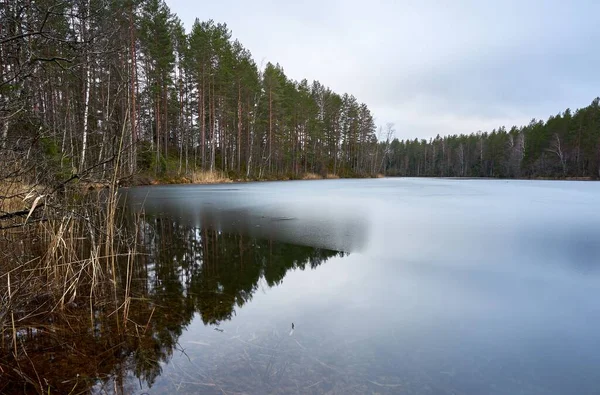 Uzun Ağaçlarla Çevrili Donmuş Bir Gölün Güzel Bir Görüntüsü — Stok fotoğraf