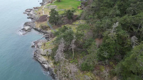 湖滨带岩石海岸线的高大的绿色云杉树的空中景观 — 图库照片