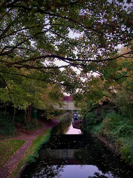 Yeşil Ağaçlarla Çevrili Bir Parktaki Köprünün Altından Akan Küçük Bir — Stok fotoğraf