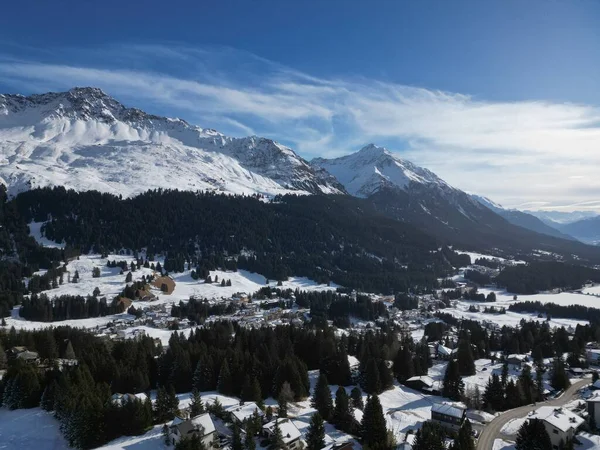 Een Schilderachtige Opname Van Bos Sneeuwvelden Bergen Tijdens Winter — Stockfoto