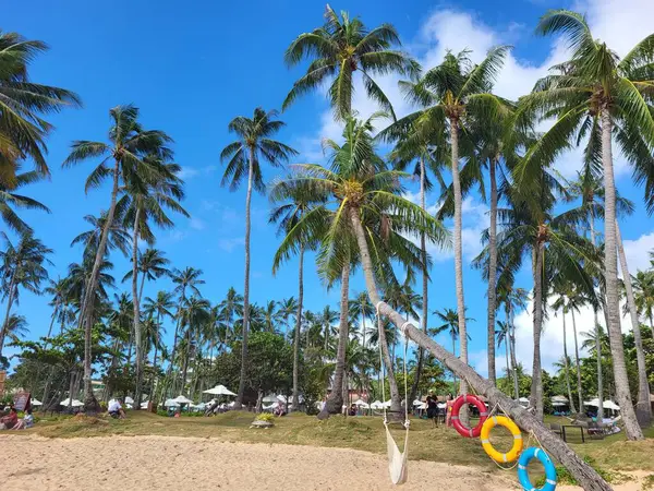 Tropischer Strand Mit Palmen Vietnam — Stockfoto