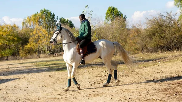 A black man riding a white horse at the farm.