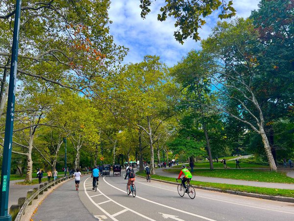 The people riding bicycles and jogging in Central Park full of green trees in New York City in autumn