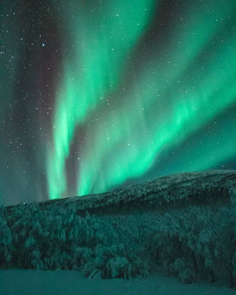 在挪威的雪地上 一道长长的极地灯光照射在漆黑的星空中 — 图库照片