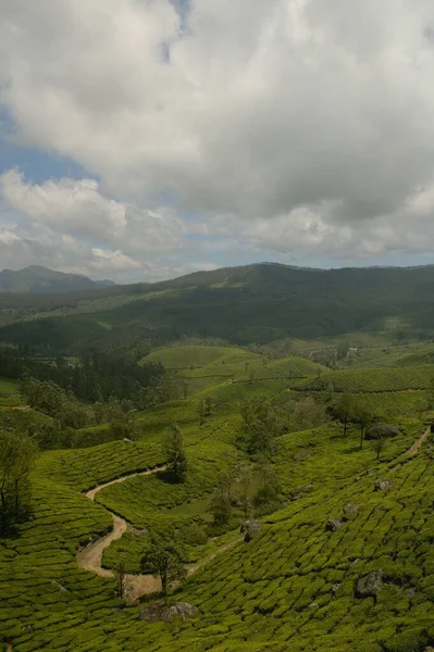 Вертикальный Снимок Красивой Зеленой Местности Фоне Голубого Неба — стоковое фото