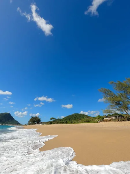 Plano Vertical Playa Armacao Con Olas Espumosas Día Soleado Florianopolis —  Fotos de Stock