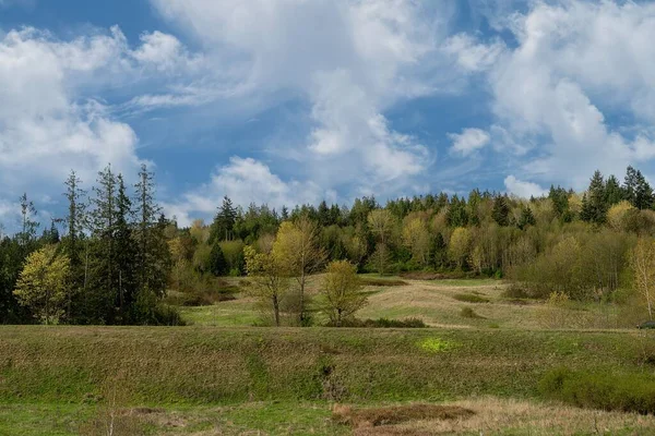 鬱蒼とした森に覆われた丘の緑の風景と斜面 — ストック写真