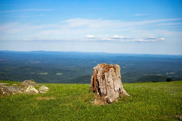 Malowniczy Widok Pniaka Drzewa Wzgórzu Przeciwko Zielonym Krajobrazem Słoneczny Dzień — Zdjęcie stockowe