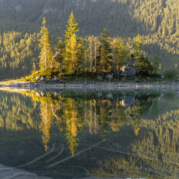 Мальовничий Знімок Дерев Березі Озера Гірським Хребтом Фоні — стокове фото