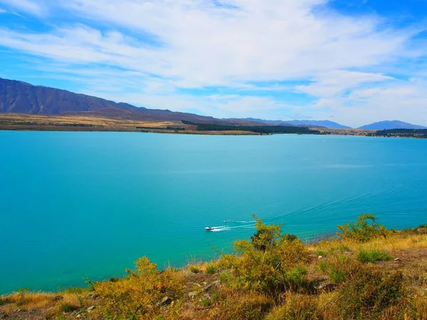 Natural View Calm Lake Seen Grassy Cliff Tekapo New Zealand — Stock Photo, Image