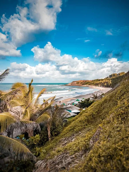 海岸の植物や崖の後ろに海と青い曇りの空の垂直ショット — ストック写真