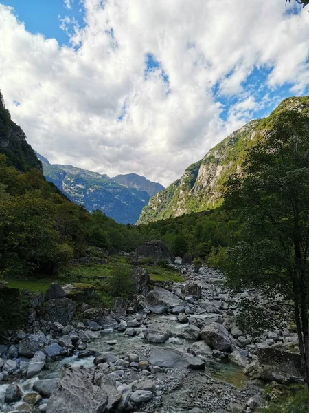 Pionowe Ujęcie Rzeki Pełnej Skał Pięknymi Zielonymi Wzgórzami Tle — Zdjęcie stockowe