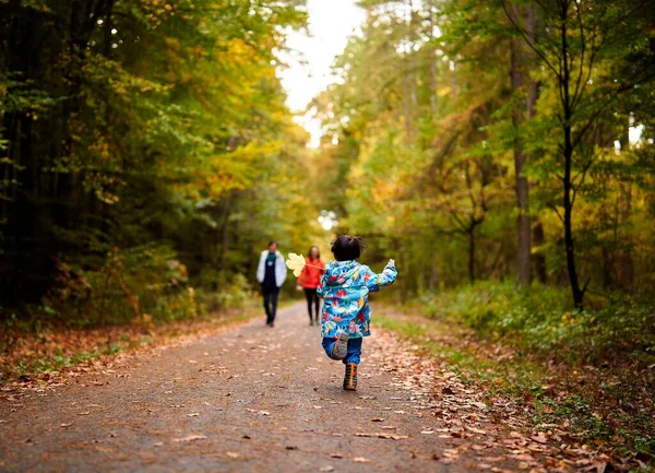 Маленький Хлопчик Біжить Сім Восени Лісу — стокове фото