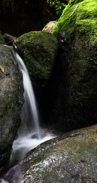 Una Pequeña Cascada Que Fluye Por Las Rocas Musgosas Larga — Foto de Stock