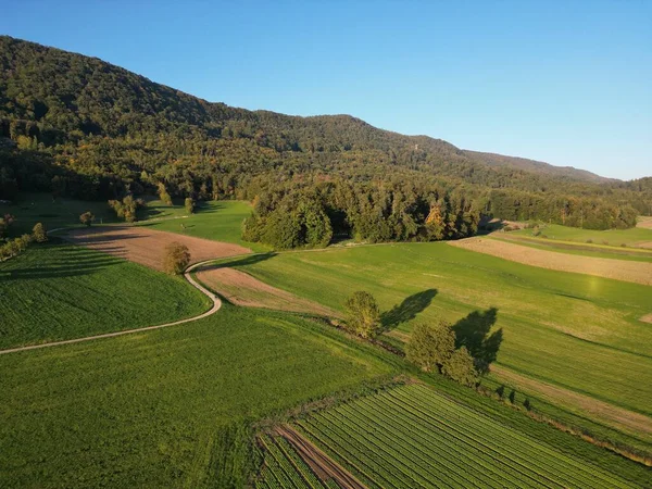青い空の下の地平線の丘の上に森と緑のフィールドの空中水平ショット — ストック写真