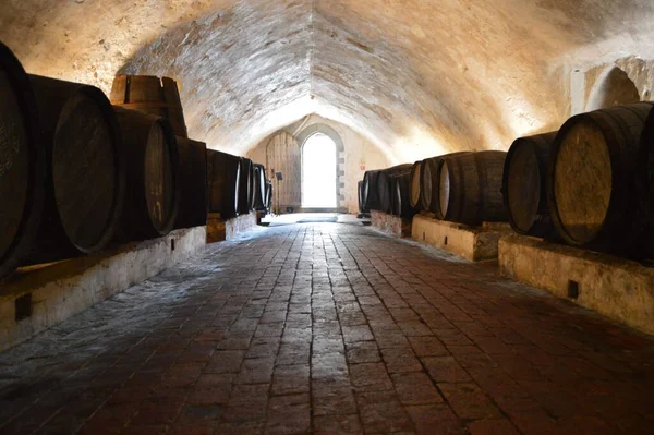 Piwnica Wino Średniowiecznym Zamku Starymi Drewnianymi Beczkami Światłem Przechodzącym Przez — Zdjęcie stockowe