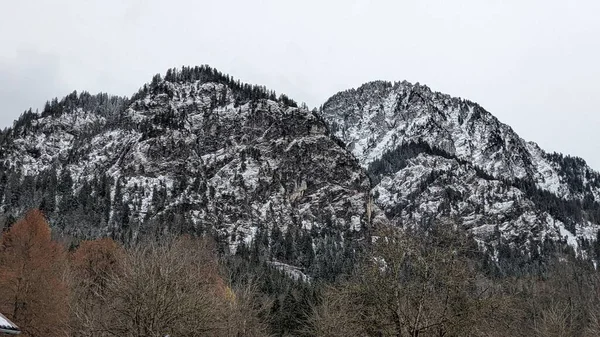 Une Scène Hivernale Montagne Enneigée Avec Des Pins Entourés Arbres — Photo