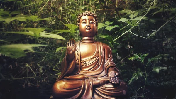 背景に緑の植物と森の中で瞑想中の茶色の仏像 — ストック写真