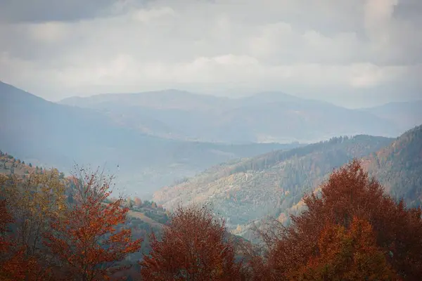 Een Prachtig Landschap Van Beboste Bergen Onder Een Bewolkte Hemel — Stockfoto