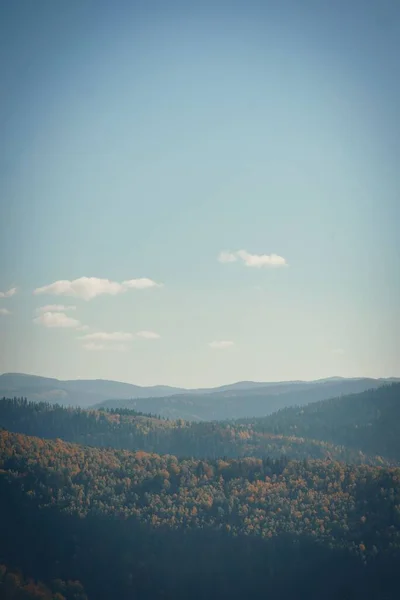 Красивый Лес Голубым Небом Солнечный Осенний День — стоковое фото