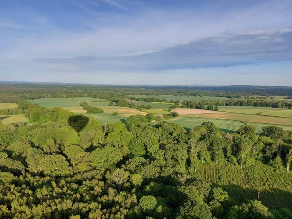 Een Prachtig Uitzicht Vanuit Lucht Weelderige Bomen Het Platteland Met — Stockfoto
