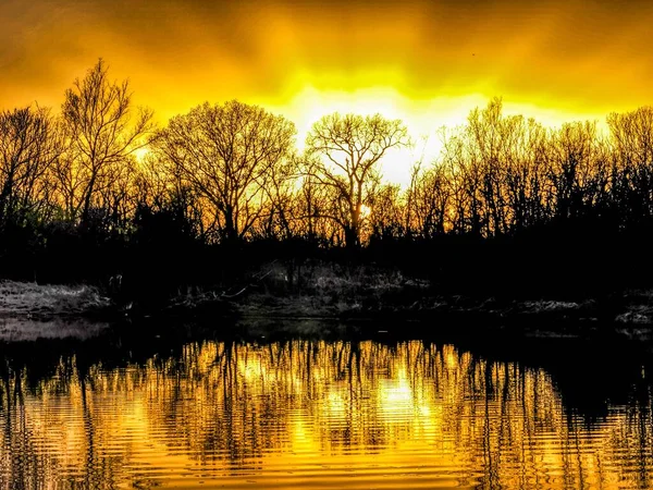 Eine Schöne Aufnahme Von Baumsilhouetten Die Einen See Während Des — Stockfoto