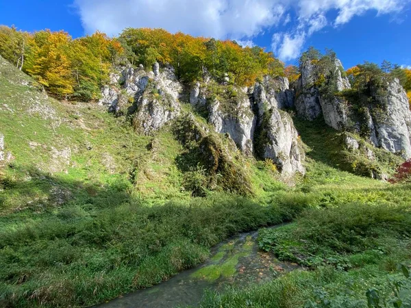 波兰奥乔科国家公园的绿色自然和蓝色天空下的悬崖峭壁的水平照片 — 图库照片