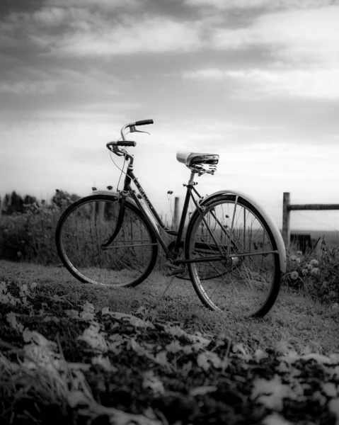 Eine Vertikale Schwarz Weiß Aufnahme Eines Fahrrads Das Auf Einem — Stockfoto