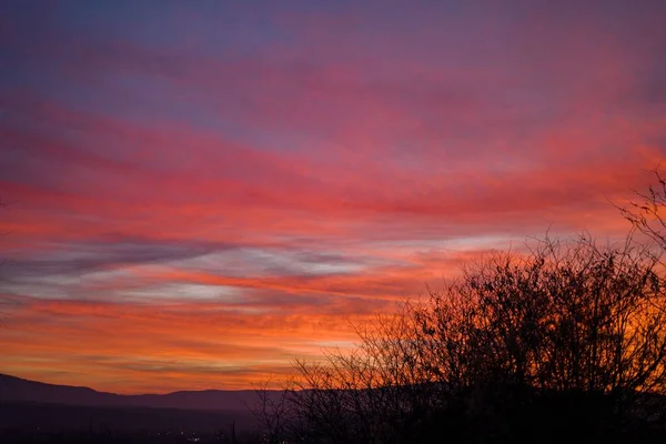 Ein Dramatischer Blick Auf Den Himmel Bei Sonnenuntergang Baumsilhouetten Gegen — Stockfoto