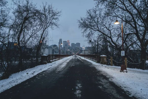 Gyönyörű Kilátás Útra Tele Leveltelen Fákkal Télen — Stock Fotó