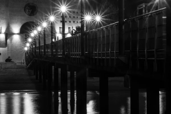 Grayscale Shot View Bridge Night — Stock Photo, Image