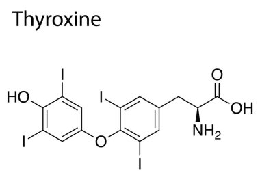 Beyaz arkaplanda tiroksinin kimyasal bir formülü