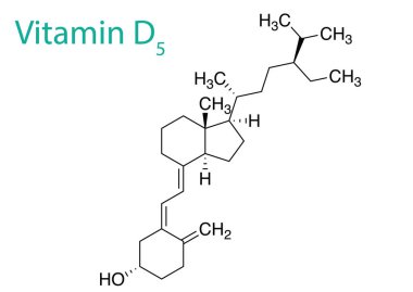 D5 vitamininin molekül yapısının bir vektör çizimi