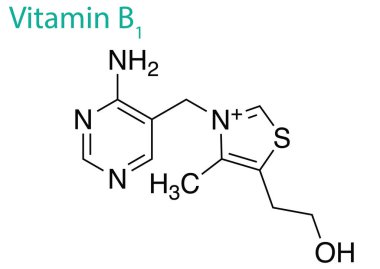 B1 vitamininin yapısını gösteren beyaz bir arkaplanda grafik tasarımı