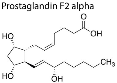 Beyaz zemin üzerinde prostaglandin F2 alfa 'nın kimyasal formül yapısı