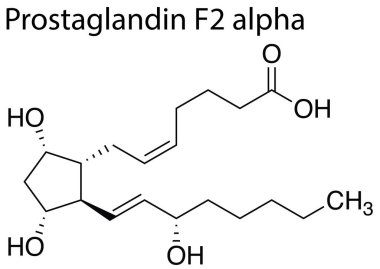 A Chemical formula structure of prostaglandin F2 alpha on white background clipart