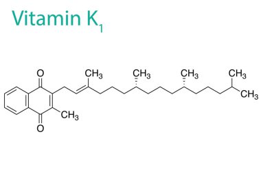 K1 vitamininin molekül yapısının bir vektör çizimi