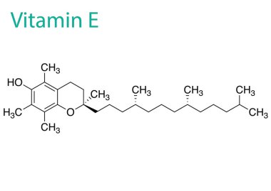 E vitamininin molekül yapısının bir vektör çizimi