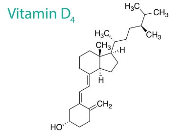 D4 vitamininin molekül yapısının bir vektör çizimi