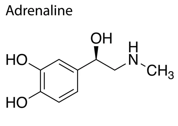 白背景下肾上腺素的化学分子结构 — 图库矢量图片