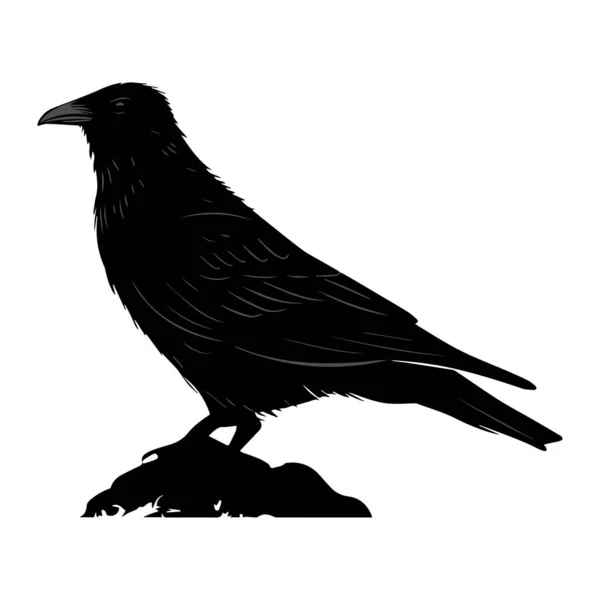 Illustration Black Raven Isolated White Background — Stock Vector