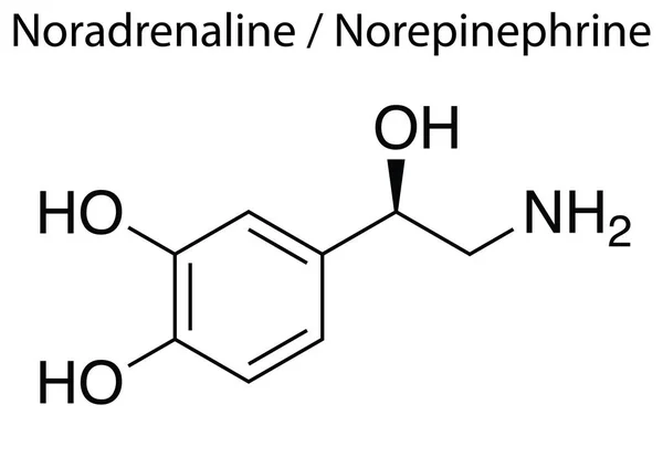 Chemical Formula Structure Noradrenaline White Background — Stock Vector