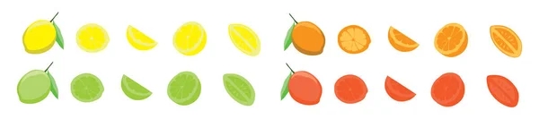 Friss Citrusfélék Fehér Alapon Narancsok Citromok Lime Grapefruit Egész Fél — Stock Vector