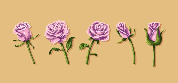 Une Conception Vectorielle Horizontale Cinq Roses Roses Avec Des Tiges — Image vectorielle